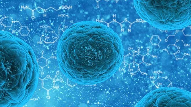 Terapia Células Madres en Articulaciones 400 millones de Células