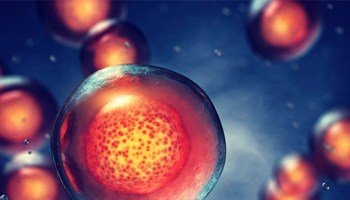 Terapia Células Madres IV 600 millones de Células