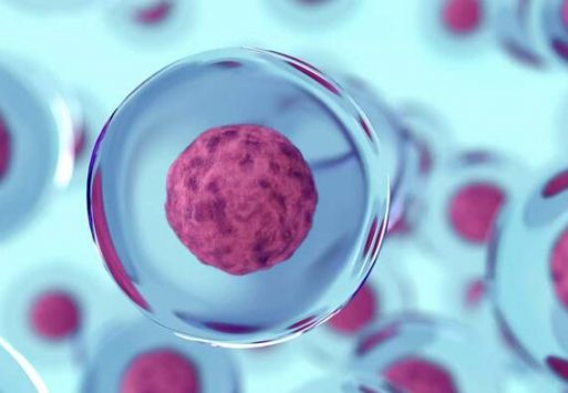 3d rendering of cells , virus or genetic molecule