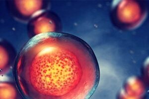 Terapia Células Madres IV 600 millones de Células